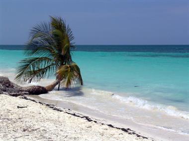 2004 Cuba, Cayo Levisa, DSC00689 B_B720